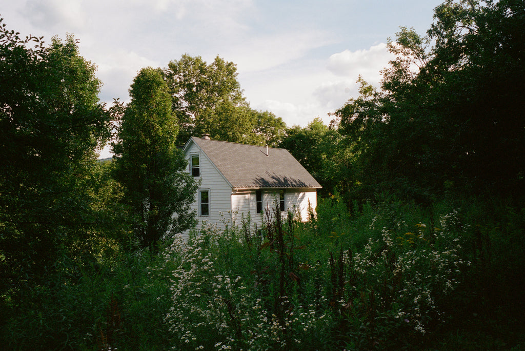 Upstate: Living Spaces with Space to Live