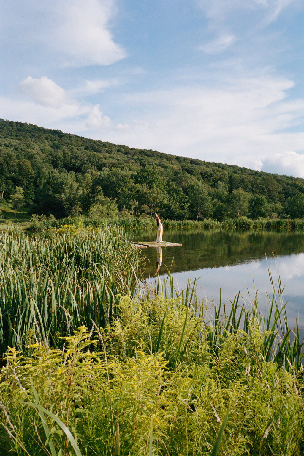 Upstate: Living Spaces with Space to Live