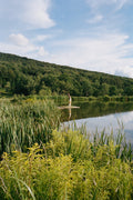 Upstate: Living Spaces with Space to Live